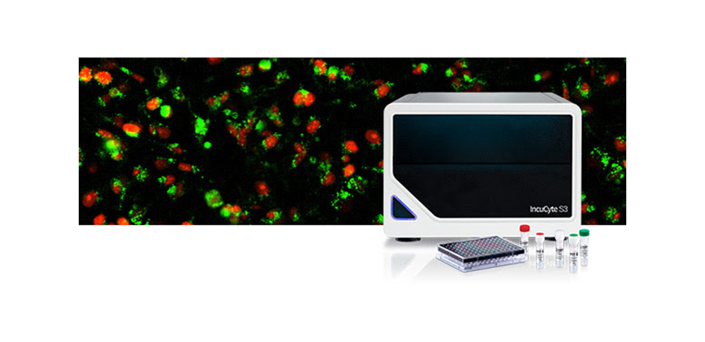 NEW IncuCyte® Live-Cell Immunocytochemistry from Sartorius!