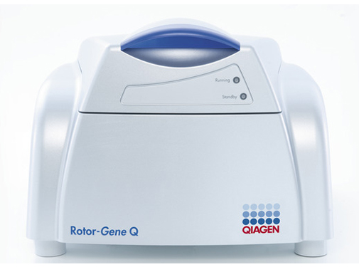 Rotor-Gene Q real-time PCR