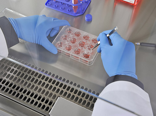 Essential Laboratory Equipment for Cell Culture Research